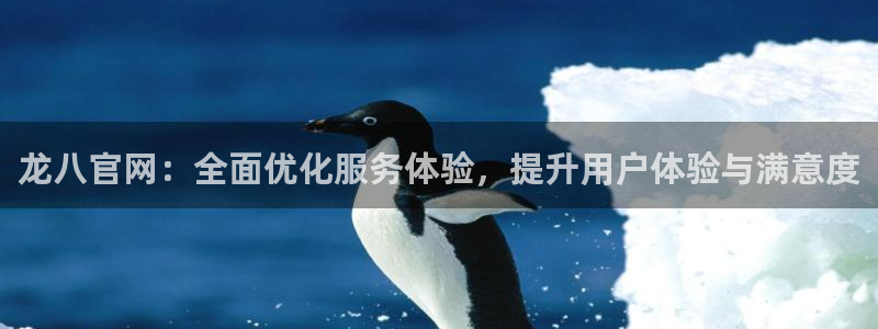 开心彩4平台：龙八官网：全面优化服务体验，提升用户体验与满意度