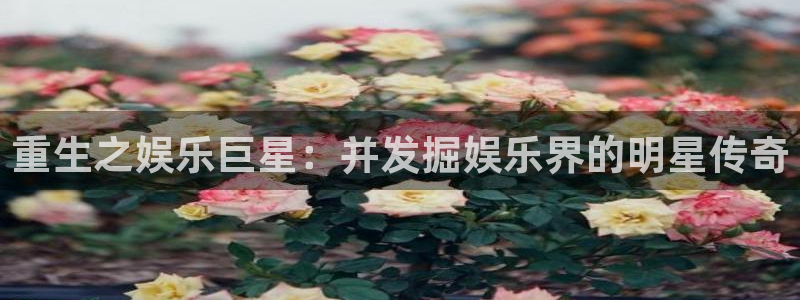 开心彩3代理：重生之娱乐巨星：并发掘娱乐界的明星传奇