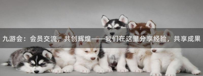 开心彩平台在线注册：九游会：会员交流，共创辉煌——我们在这里分享经验，共享成果