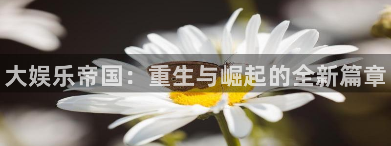 开心彩集团总部：大娱乐帝国：重生与崛起的全新篇章