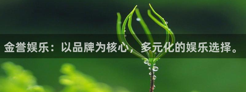 开心彩体育凯捷平台主管：金誉娱乐：以品牌为核心，多元化的娱乐选择。