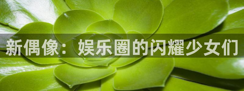 开心彩代理：新偶像：娱乐圈的闪耀少女们