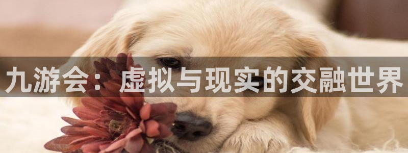 开心彩体育4：九游会：虚拟与现实的交融世界
