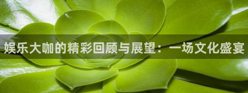 开心彩体育和杏耀是哪个公司的：娱乐大咖的精彩回顾与展望：一场文化盛宴