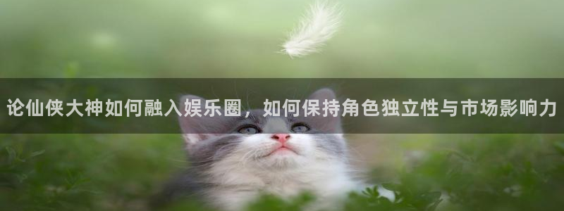 上海开心彩汽车电子有限公司：论仙侠大神如何融入娱乐圈，如何保持角色独立性与市场影
