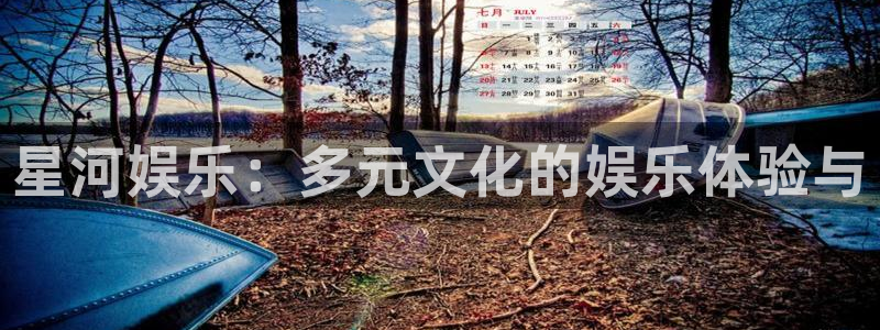 开心彩体育和杏耀是哪个公司的：星河娱乐：多元文化的娱乐体验与