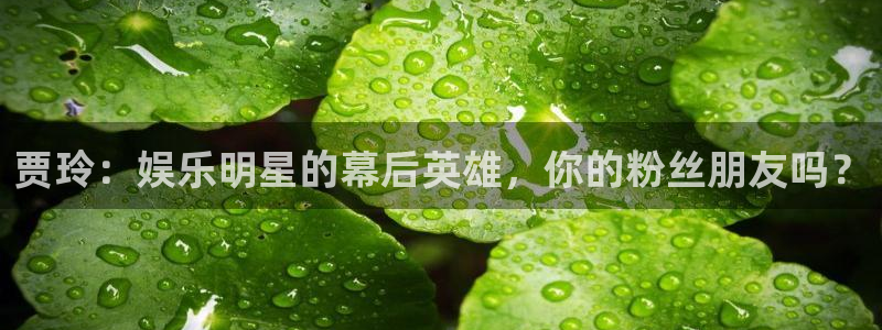 开心彩4注册：贾玲：娱乐明星的幕后英雄，你的粉丝朋友吗？