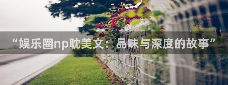 开心彩凯捷注册：“娱乐圈np耽美文：品味与深度的故事”