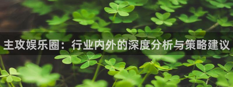 开心彩集团股票：主攻娱乐圈：行业内外的深度分析与策略建议