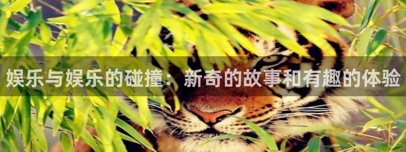 开心彩2体育登录入口：娱乐与娱乐的碰撞：新奇的故事和有趣的体验