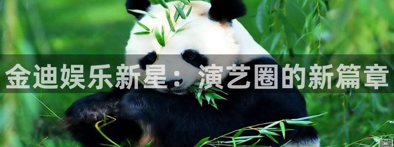 开心彩包怎么样：金迪娱乐新星：演艺圈的新篇章