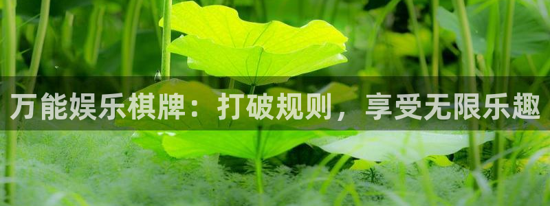 开心彩集团股票：万能娱乐棋牌：打破规则，享受无限乐趣