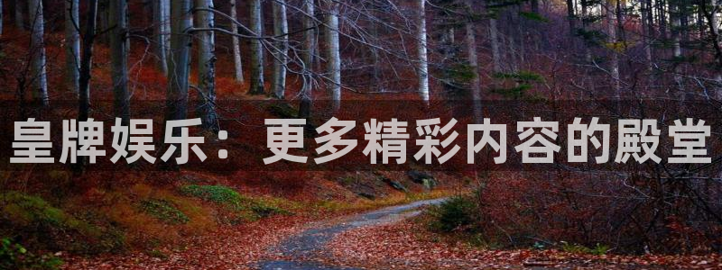 开心彩登录界面入口：皇牌娱乐：更多精彩内容的殿堂