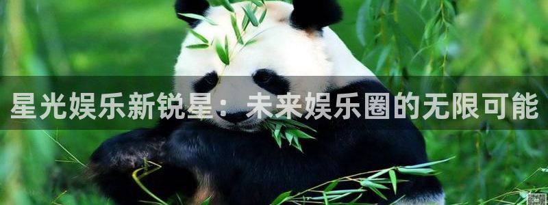 开心彩3登陆：星光娱乐新锐星：未来娱乐圈的无限可能