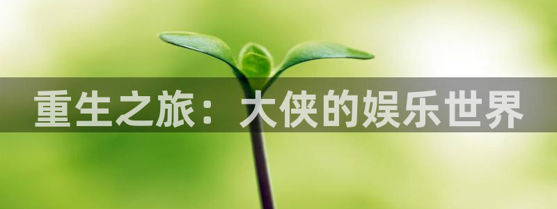 开心彩登录：重生之旅：大侠的娱乐世界